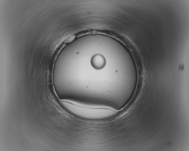 X0000115441065200911181518