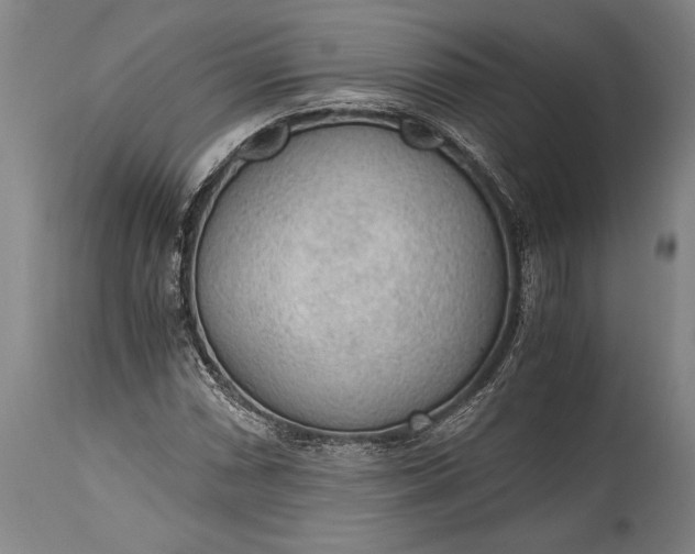 X0000115441066200911181518