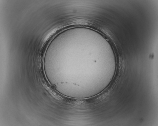 X0000115441067200911181518