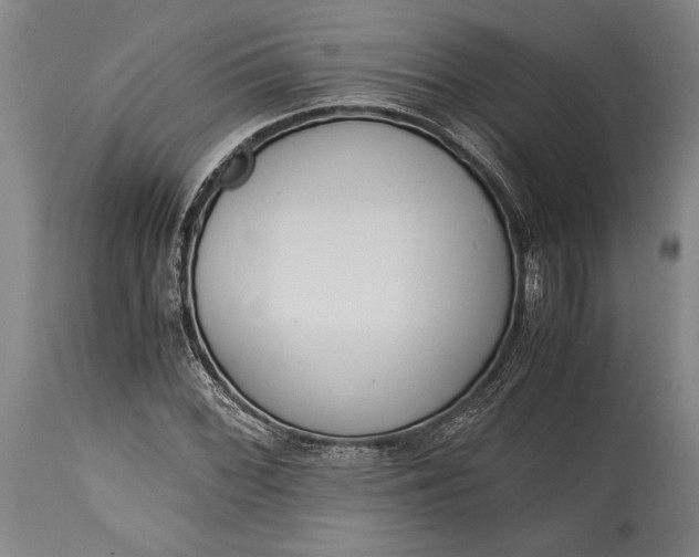 X0000115441068200911181518