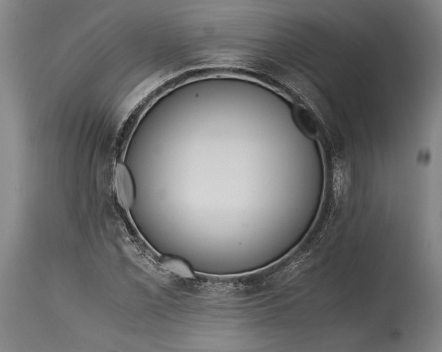 X0000115441069200911181518