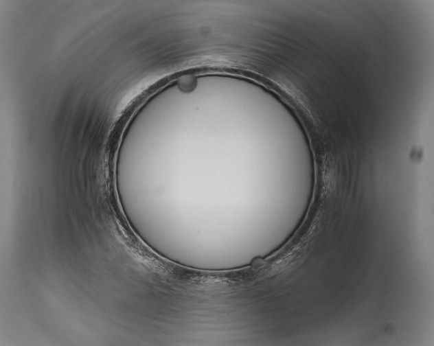 X0000115441070200911181518