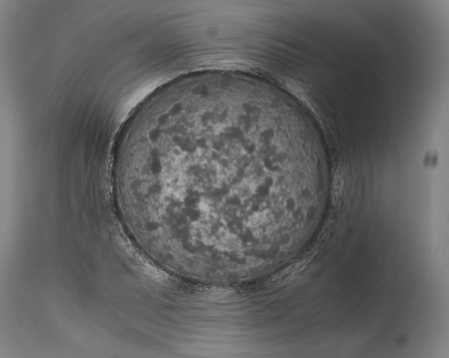 X0000115441071200911181518