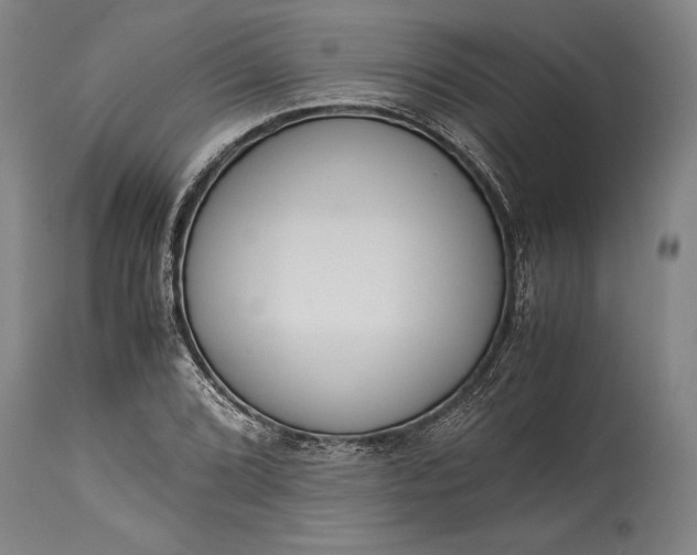 X0000115441072200911181518