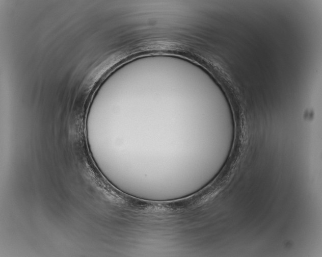 X0000115441073200911181518