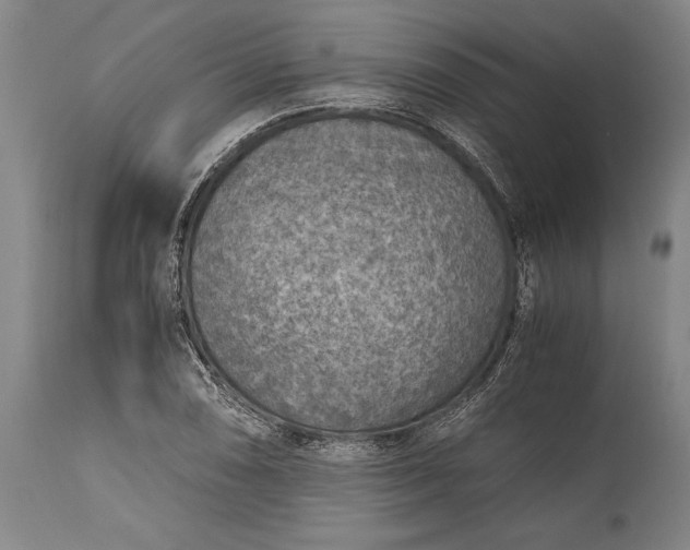 X0000115441074200911181518