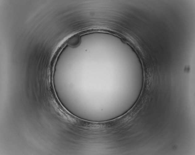 X0000115441076200911181518
