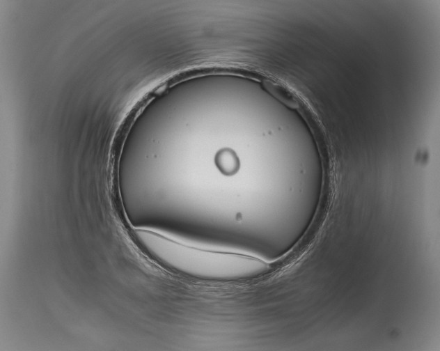 X0000115441077200911181518
