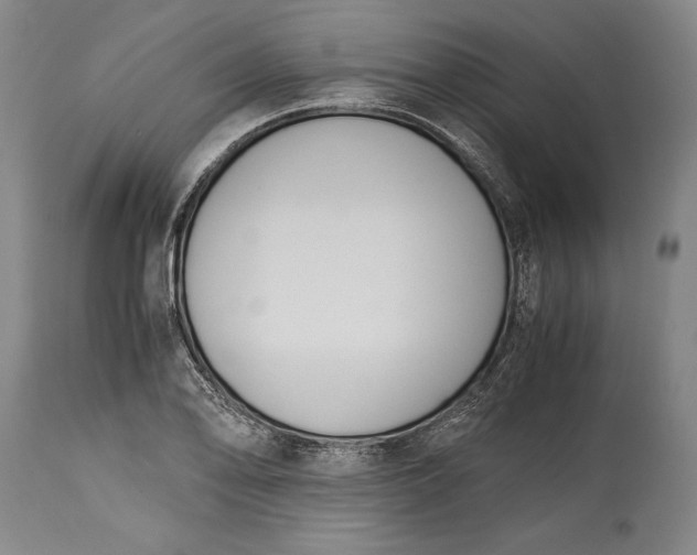 X0000115441078200911181518