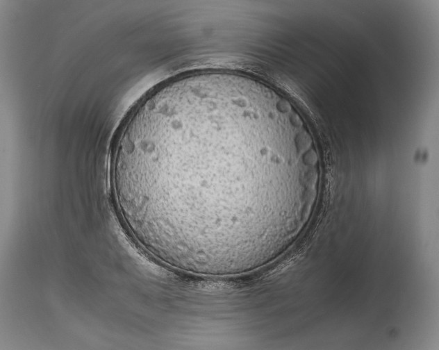 X0000115441079200911181518