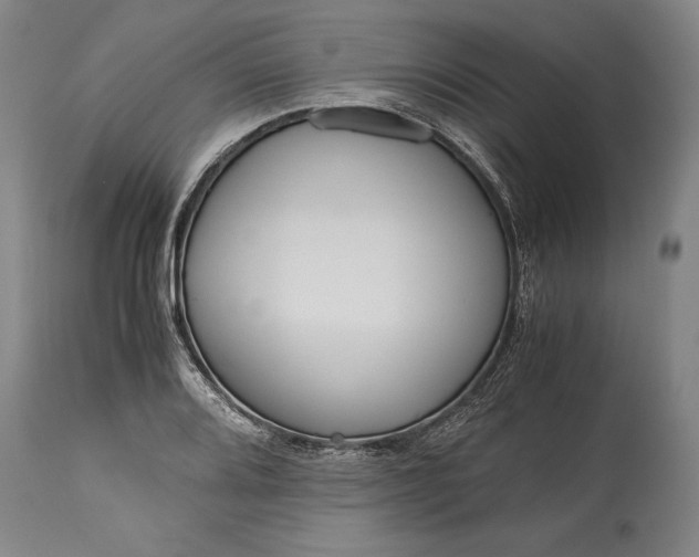 X0000115441080200911181518