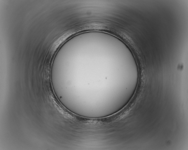 X0000115441081200911181518