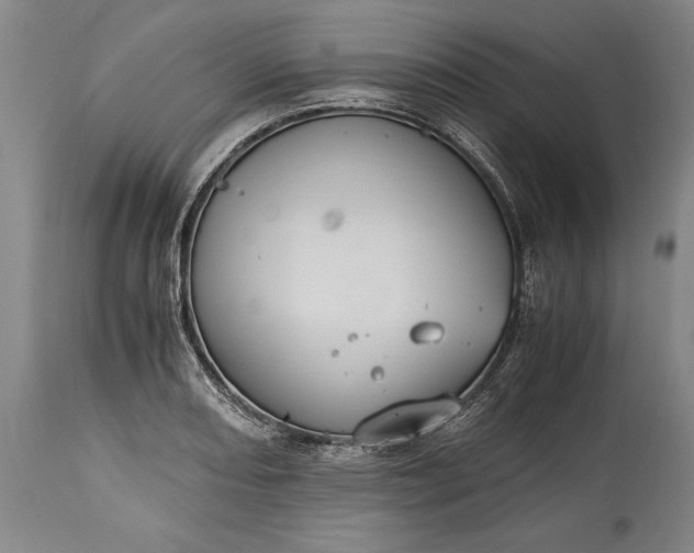 X0000115441082200911181518