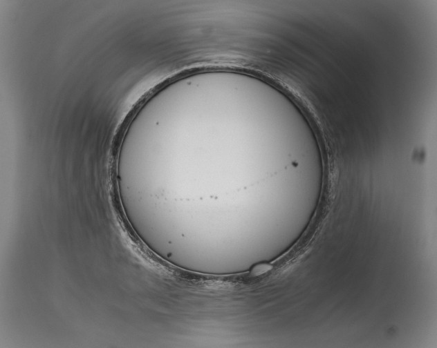 X0000115441085200911181518