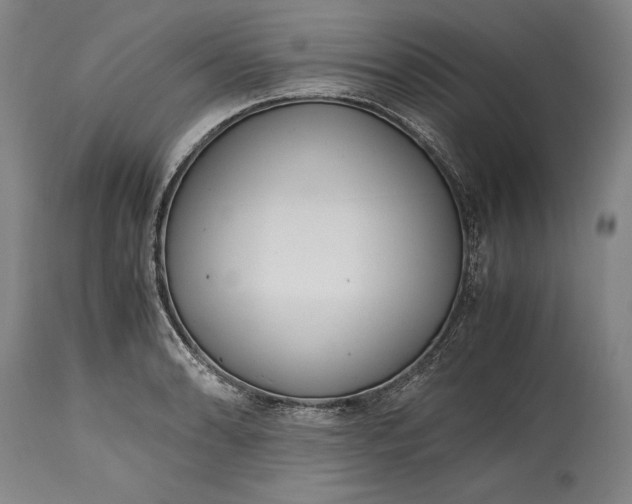 X0000115441086200911181518
