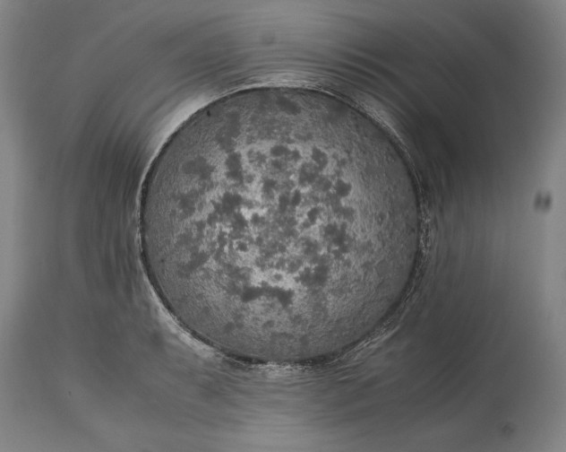 X0000115441087200911181518