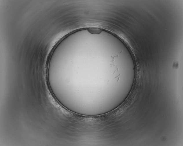 X0000115441088200911181518