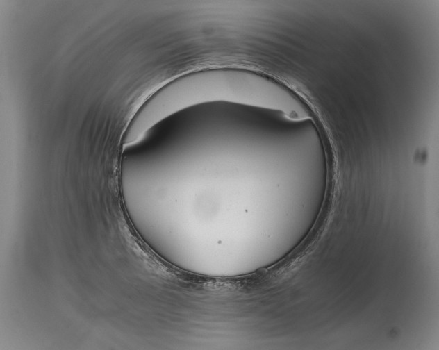 X0000115441089200911181518