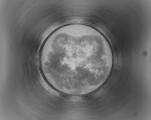X0000115441090200911181518