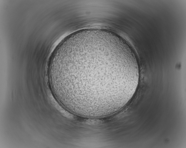 X0000115441091200911181518