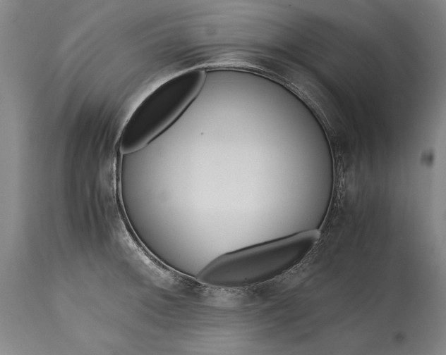 X0000115441092200911181518
