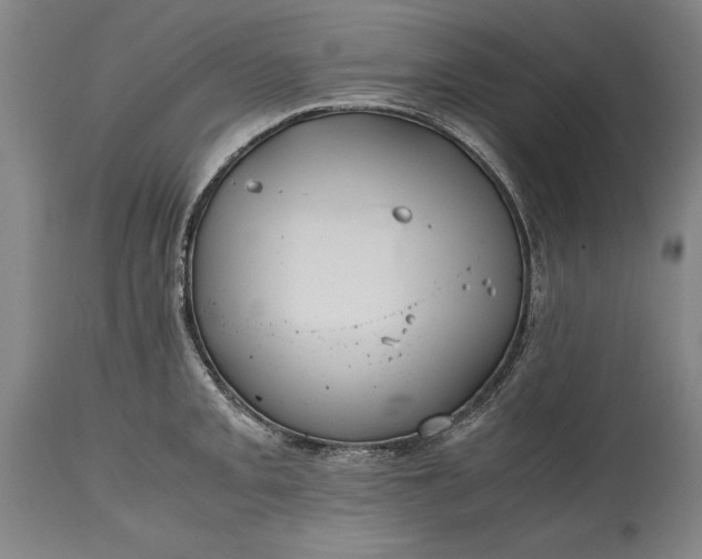 X0000115441093200911181518