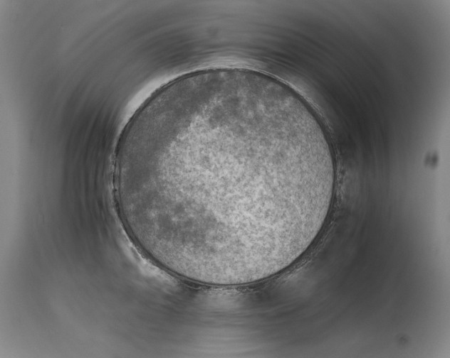 X0000115441094200911181518