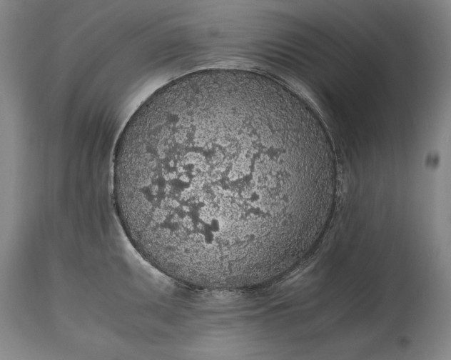 X0000115441095200911181518