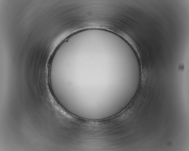 X0000115441096200911181518
