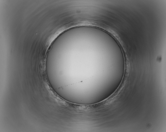 X0000115441097200911181518