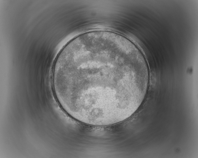 X0000115441098200911181518
