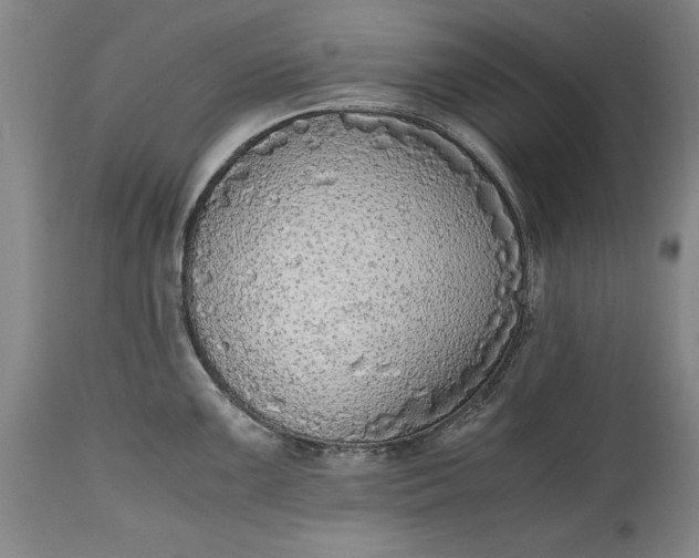 X0000115441099200911181518