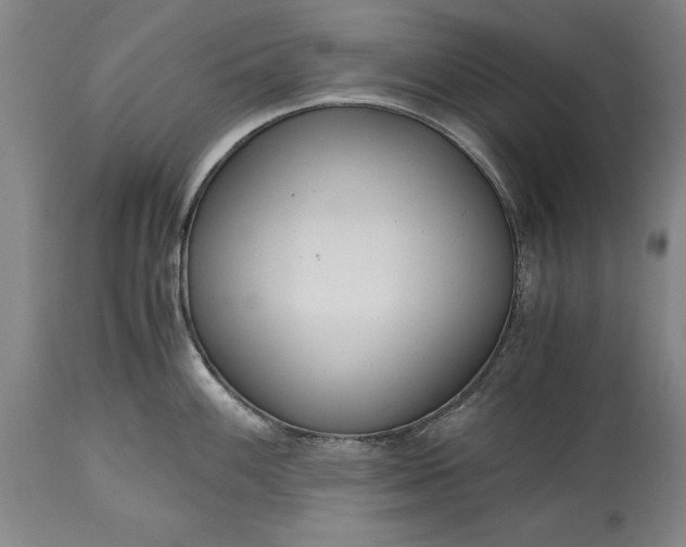 X0000115441100200911181518