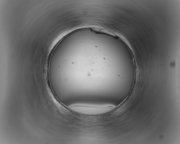 X0000115441101200911181518