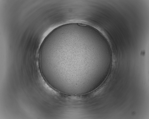 X0000115441102200911181518