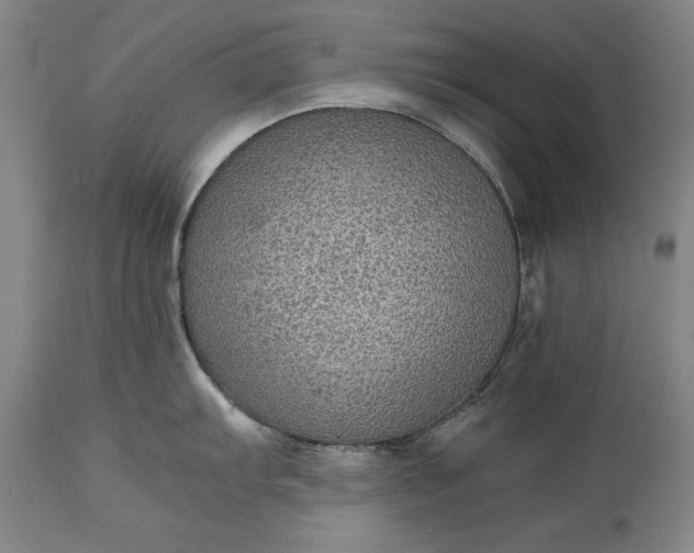 X0000115441103200911181518