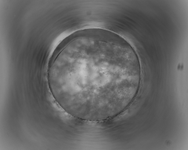 X0000115441104200911181518