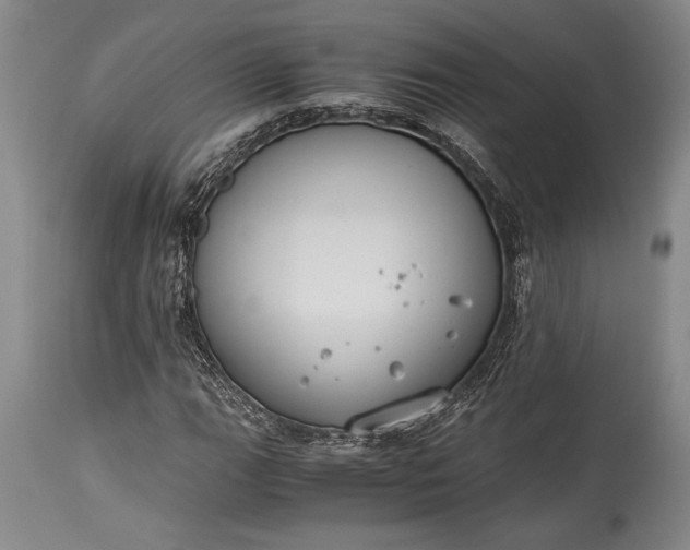 X0000115441111200911181517