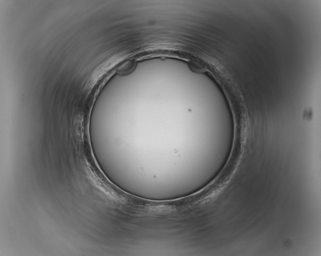 X0000115441113200911181517