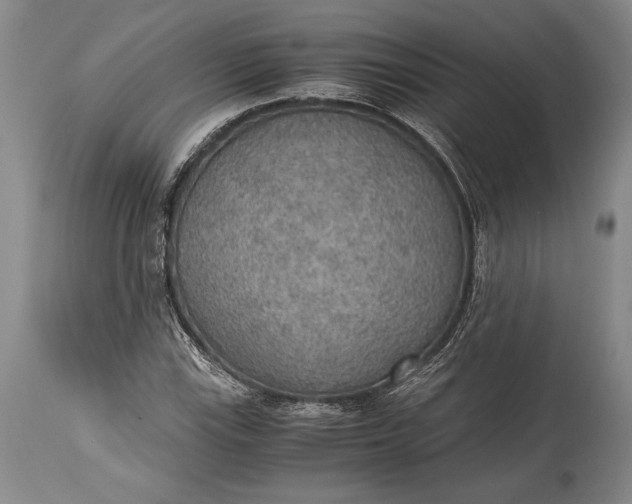 X0000115441115200911181517