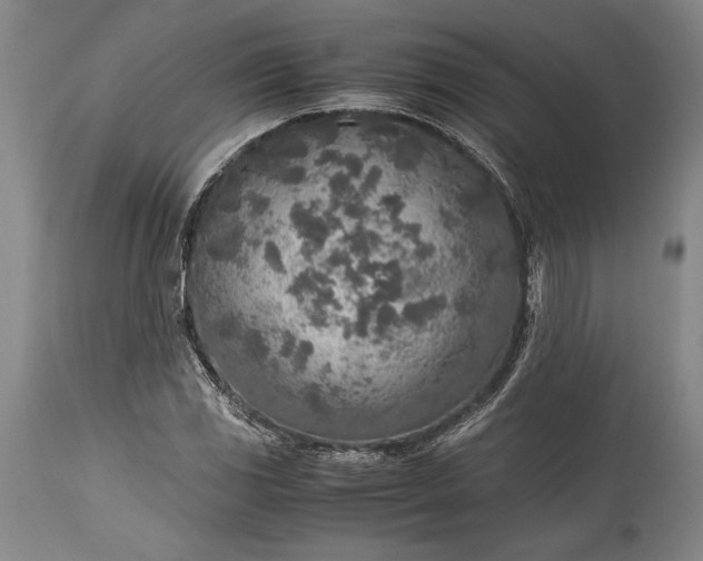 X0000115441117200911181517
