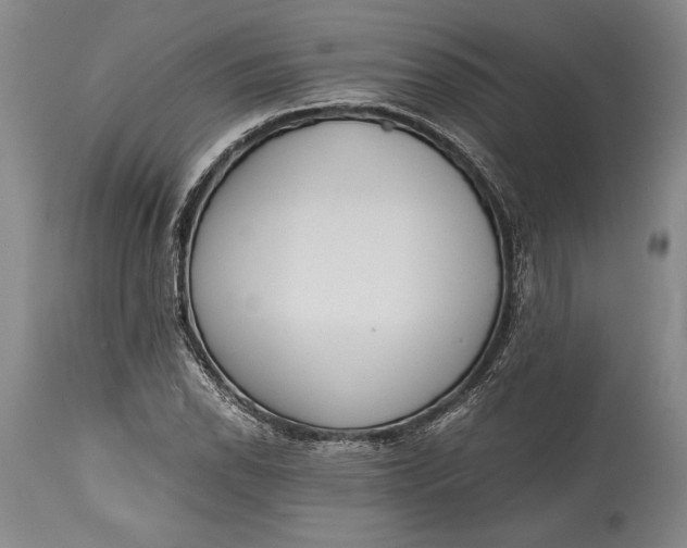 X0000115441118200911181517