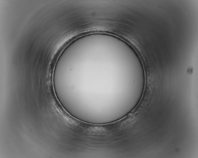 X0000115441119200911181517