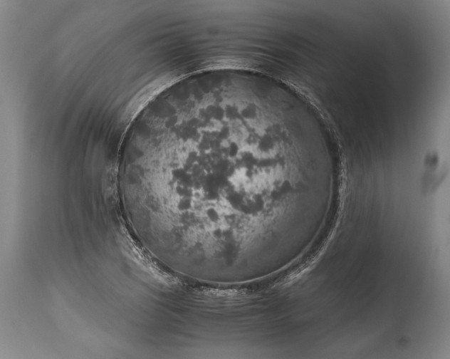X0000115441121200911181517