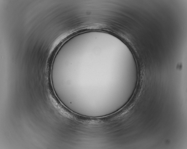 X0000115441122200911181517