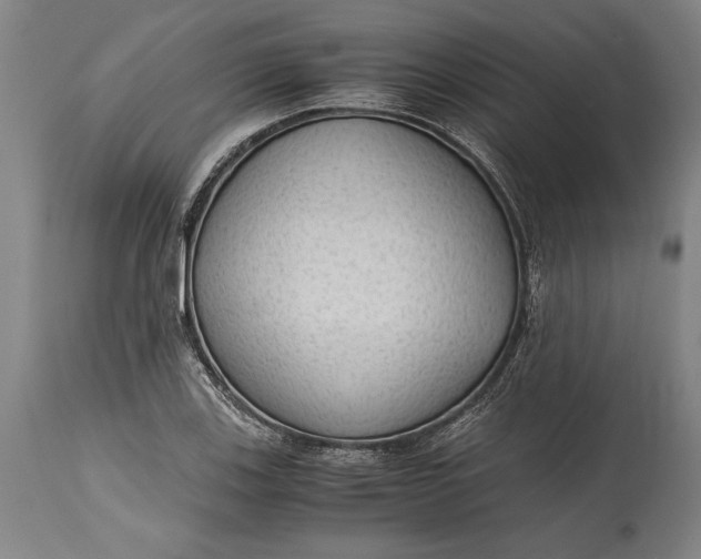 X0000115441123200911181517