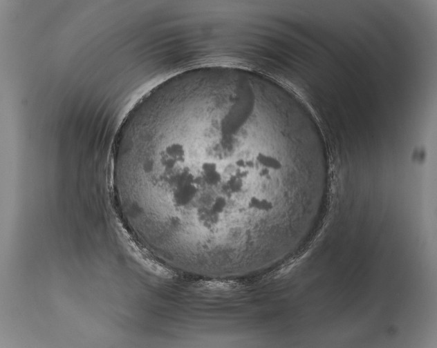 X0000115441125200911181517