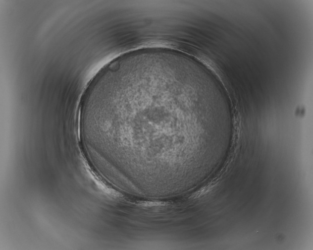 X0000115441127200911181517