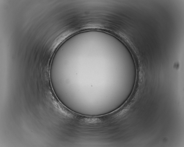 X0000115441129200911181517