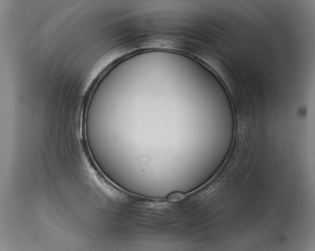 X0000115441131200911181517